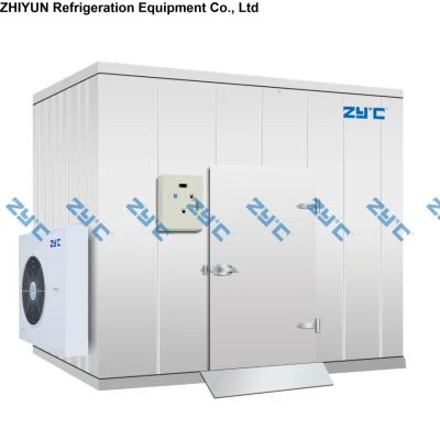 Customized Refrigeration Cold Storage Room