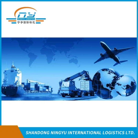 Professional freight agent / Experienced logistics service provider/ container shipment from China to Australia by sea/air