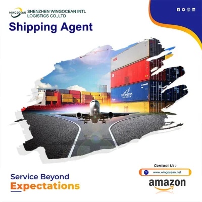 Shipment Sea Freight Worldwide Shipping Agent in Shenzhen China Door to Door Forwarder to France Canada USA