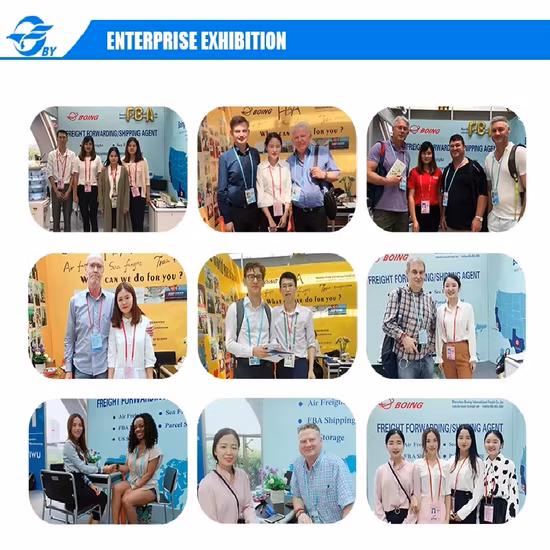 China Forwarder/Air Flight/Sea Shipping/Express/Logistics/Door to Door Consolidate Parcels Together Shipping China to Singapore