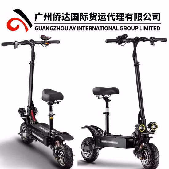 Door to Door Forwarder From China to Czech by Sea Freight/Air Freight/Truck Shipping/Railway/Express DDP DDU